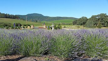 Thorn Hill Vineyard Villas