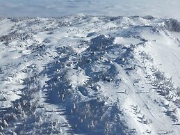 Koča Žafran - Velika planina