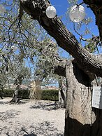 Alkimia boutique hotel