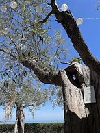 Alkimia boutique hotel