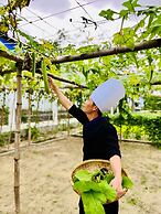 TTC Van Phong Bay Resort