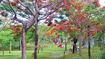TTC Van Phong Bay Resort