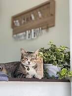 Ivory House Sriracha