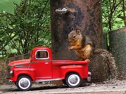 The Shed at Moon Dance