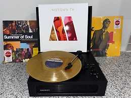 Boho Skyline Oasis- Dream 1BR Getaway