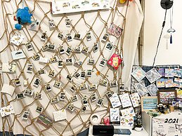 InnOcean Diving Hostel