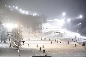 Large 8-9-bed Central Ski Innout House in Hemavan