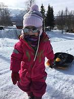 Large 8-9-bed Central Ski Innout House in Hemavan