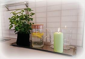 Large 8-9-bed Central Ski Innout House in Hemavan