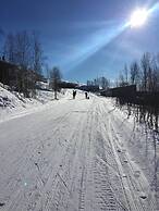 Large 8-9-bed Central Ski Innout House in Hemavan