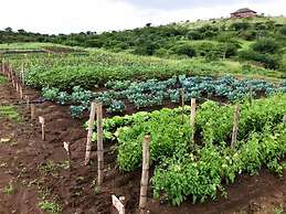 Africa Safari Karatu