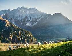 Boutique Hotel Vila Planinka