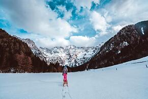 Boutique Hotel Vila Planinka