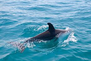 Ocean Pearl Beach Lodge