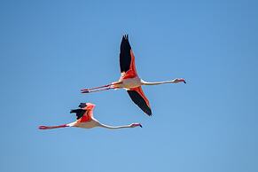 Ocean Pearl Beach Lodge