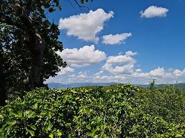 Sale! Beautiful 2-bed Apartment With Pool Access