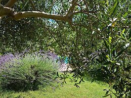 Sale! Beautiful 2-bed Apartment With Pool Access