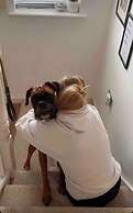 Perfect Location, dog Friendly Beautiful Home