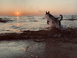 Residence Black Eagle Lubmin