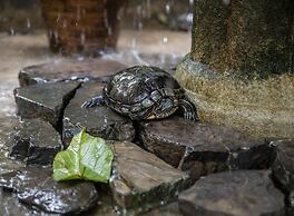 Angeli Gardens Boutique Hotel