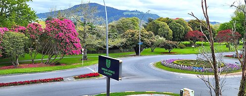 Urban Lounge Sleepery