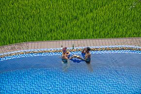 Sunkissed Paddy Hoi An Villa