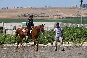 Gobeklitepe Cadirsaray
