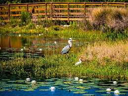 Beautiful Northshore Beauty 5 Bed4ba Private Pool Great Location