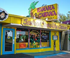 Beautiful Northshore Beauty 5 Bed4ba Private Pool Great Location