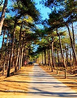 Squirrel Hideaway in Formby, Liverpool