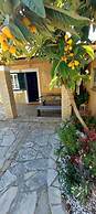a Flower House in Corfu Close to Beach and Town