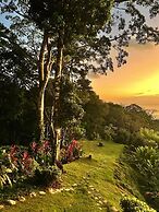 Luxury Jungle Haven Ocean View Infinity Pool