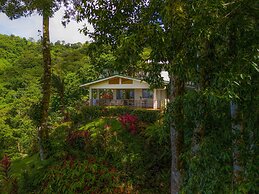 Luxury Jungle Haven Ocean View Infinity Pool
