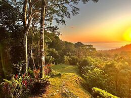 Luxury Jungle Haven Ocean View Infinity Pool