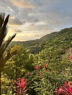 Luxury Jungle Haven Ocean View Infinity Pool