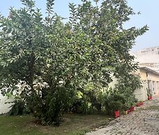 Colonel Dugal's - Near Taj, Fort & Shopping