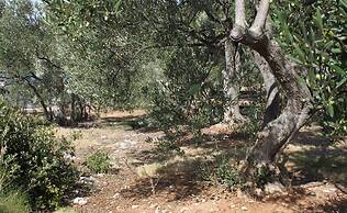 Peaceful 2-bedroom Robinson House Orca