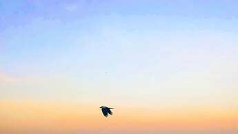 Rhodes Skyline Suite With out Door Jacuzzi Sea View A1