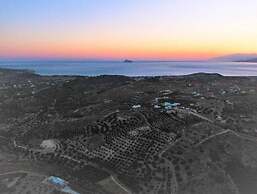 Villa Joy in Kamilari