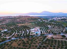 Villa Harmony in Kamilari