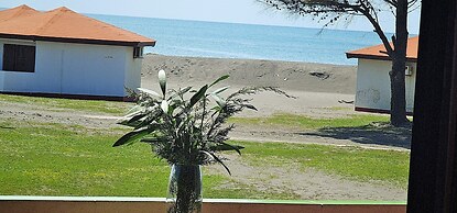 Ada Bojana - FKK island