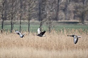 Your Holiday Home With a Fireplace in the Harz Mountains