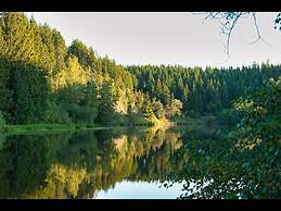 Your Holiday Home With a Fireplace in the Harz Mountains