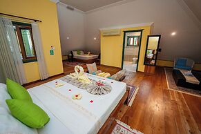 Pension Michel - Villa Roche Bois