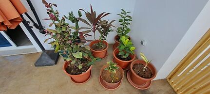 Apartamentos Santiago - Tarrafal