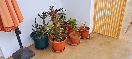 Apartamentos Santiago - Tarrafal