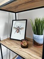 Ideal Bristol Getaway - 3 bed Harbourside Home