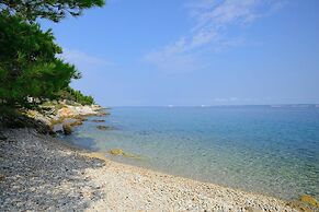 Spacious Holiday House Domenico