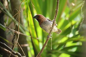 The Anchorage Holiday Apartments Negombo