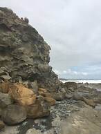 Your Ocean Oasis Ocean Country Views Spa Pet Friendly Fireplace